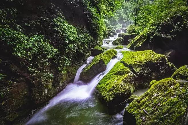 蔡永康在节目中说“冷淡是最高级的情商”，他的这种说法有道理吗？
